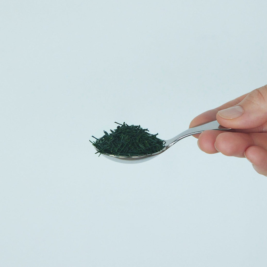 The Heart of Japanese Tea: Where SUZU-TEA’s Story Begins