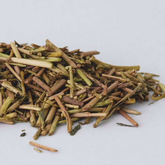 Suzuhouji – A Gentle Roast from a Unique Machine